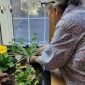 Woodbine Rehabilitation & Healthcare Center Launches Therapeutic Gardening  Initiative with Eldergrow